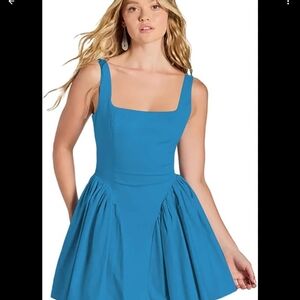 Daisy Blue Fit and Flare Sleeveless Mini Swim